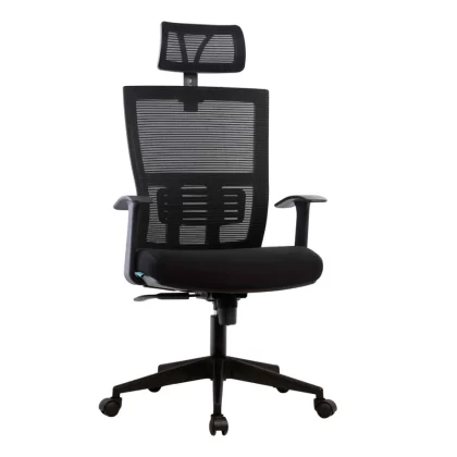 Inspire High back